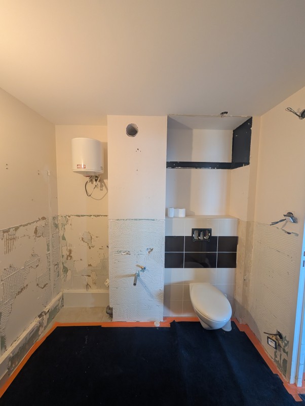 Avant/ Apres dun aménagement d'une buanderie et d'un toilette