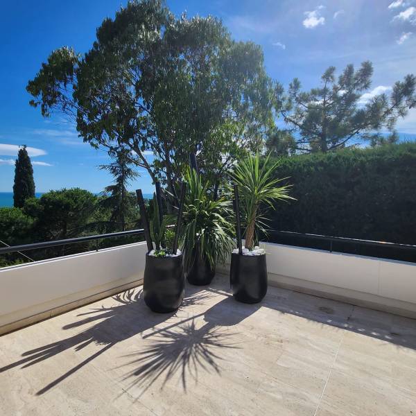 Aménager sa terrasse avec des pots noires avec bambous et végétaux à Béziers 34500 en Occitanie