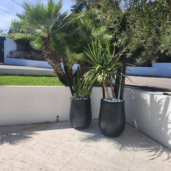 Décorer l'entrée d'une villa à Sète Béziers 34500 en Occitanie